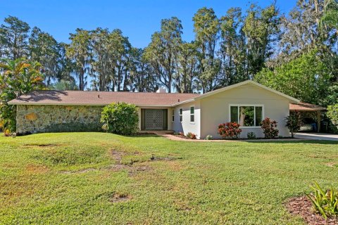 Villa ou maison à vendre à Odessa, Floride: 4 chambres, 200.95 m2 № 2429189 - photo 16
