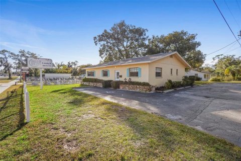 Immobilier commercial à louer à Orange City, Floride: 128.21 m2 № 2167022 - photo 2