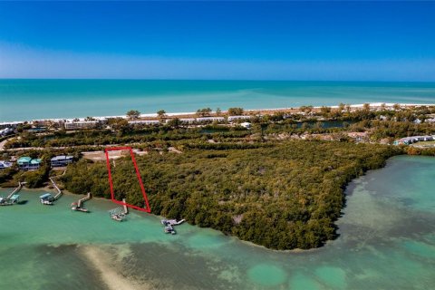 Land in Boca Grande, Florida № 1284322 - photo 3