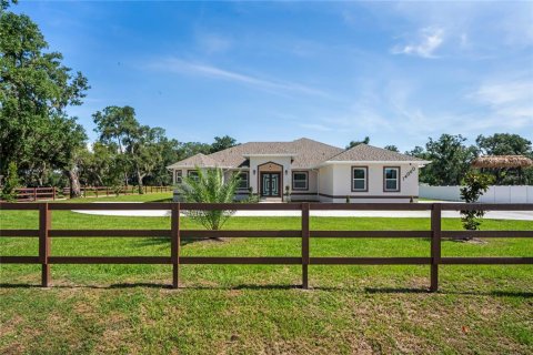 House in Dover, Florida 4 bedrooms, 313.45 sq.m. № 2109246
