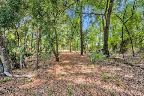 Casa en venta en Apopka, Florida, 3 dormitorios, 176.05 m2 № 1262208 - foto 9