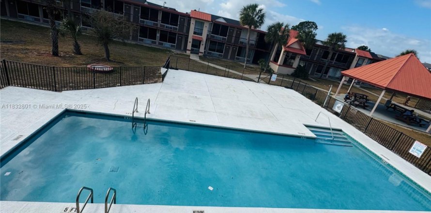 Studio in the Condo in Davenport, Florida № 1809463