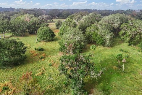 Land in Wildwood, Florida № 2239906 - photo 2