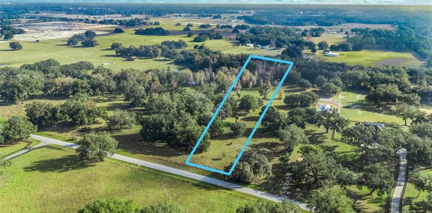 Land in Wildwood, Florida № 2239906