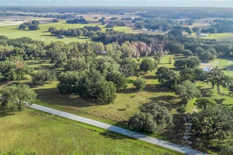 Land in Wildwood, Florida № 2239906 - photo 4