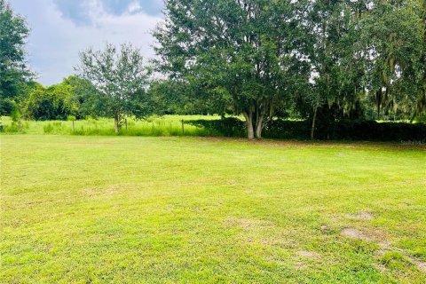 Land in Webster, Florida № 1919000 - photo 9