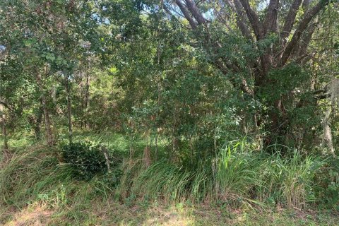 Land in Lake Wales, Florida № 2160311