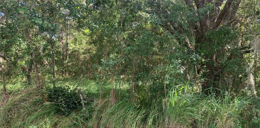 Land in Lake Wales, Florida № 2160311