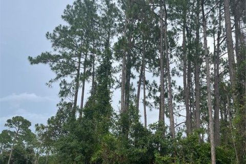 Land in Palm Coast, Florida № 1776579 - photo 5