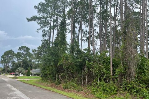 Land in Palm Coast, Florida № 1776579 - photo 1