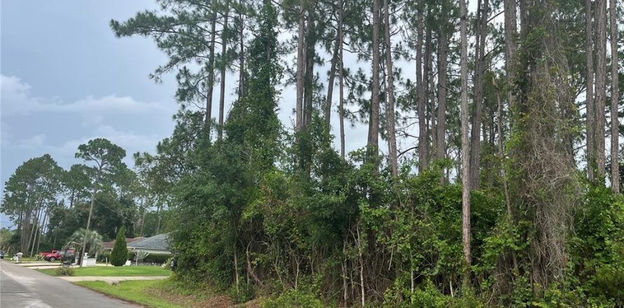 Land in Palm Coast, Florida № 1776579