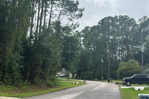Land in Palm Coast, Florida № 1776579 - photo 2