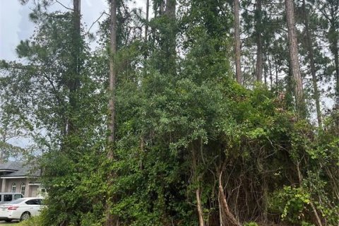 Land in Palm Coast, Florida № 1776579 - photo 4