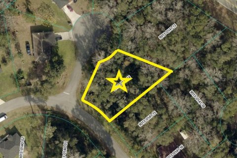 Land in Ocala, Florida № 2160880