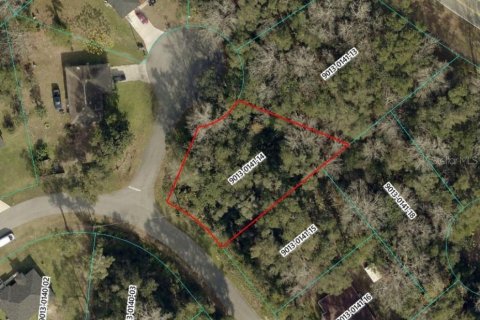 Land in Ocala, Florida № 2160880 - photo 2