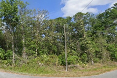 Land in Ocala, Florida № 2160880 - photo 3