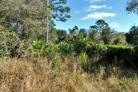 Land in North Port, Florida № 2166125