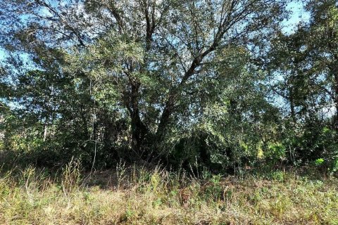 Land in North Port, Florida № 2166125 - photo 2