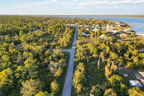 Land in Port Charlotte, Florida № 2163361 - photo 5