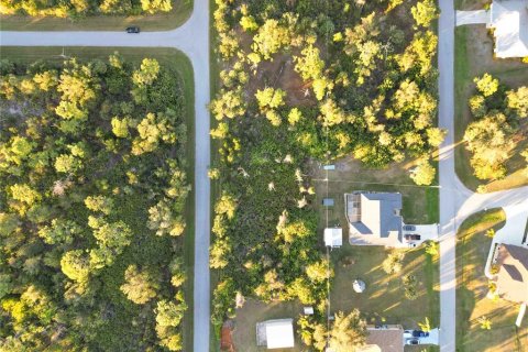 Land in Port Charlotte, Florida № 2163361 - photo 15