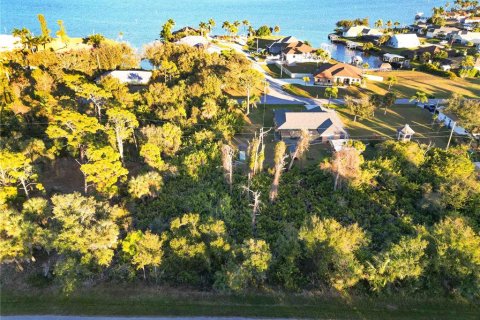 Land in Port Charlotte, Florida № 2163361 - photo 2
