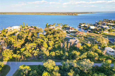 Land in Port Charlotte, Florida № 2163361 - photo 4
