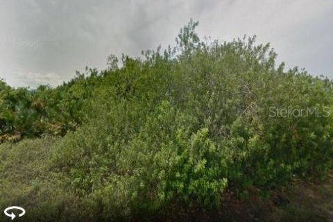 Land in Port Charlotte, Florida № 2160876