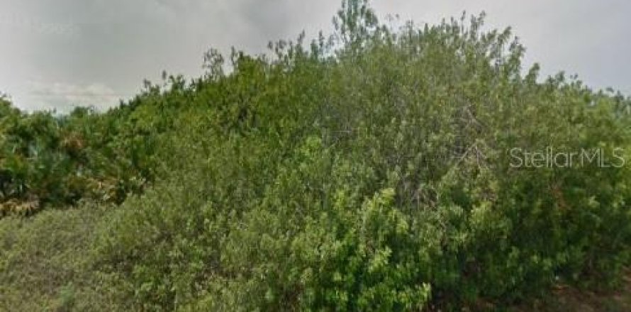 Land in Port Charlotte, Florida № 2160876