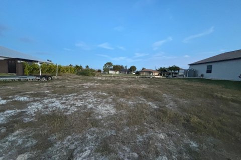 Terreno en venta en Cape Coral, Florida № 2003804 - foto 2