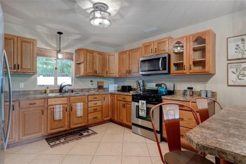 House in Mount Dora, Florida 10 bedrooms, 510.87 sq.m. № 1768028 - photo 16