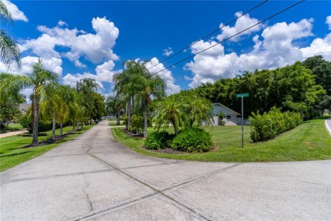 House in Mount Dora, Florida 10 bedrooms, 510.87 sq.m. № 1768028 - photo 5