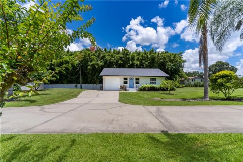 House in Mount Dora, Florida 10 bedrooms, 510.87 sq.m. № 1768028 - photo 14