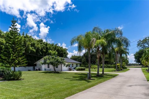 House in Mount Dora, Florida 10 bedrooms, 510.87 sq.m. № 1768028 - photo 13