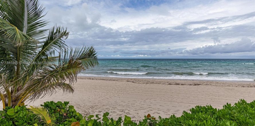 Condo à Hallandale Beach, Floride, 1 chambre  № 1932589