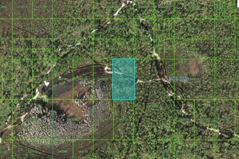 Terrain à Frostproof, Floride № 2164074
