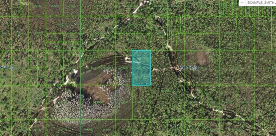 Terreno en Frostproof, Florida № 2164074
