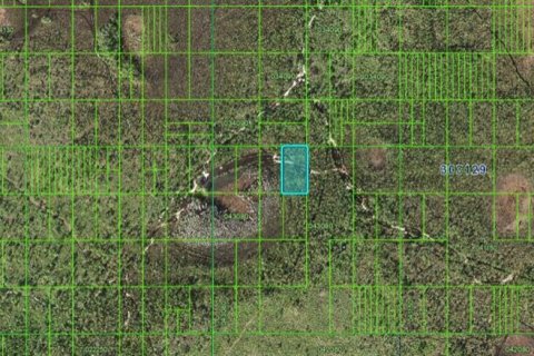 Terreno en venta en Frostproof, Florida № 2164074 - foto 3