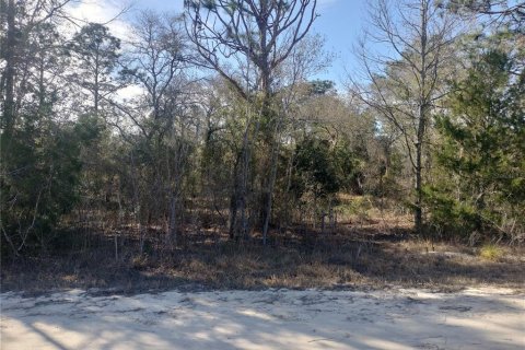Terreno en Morriston, Florida № 2162174