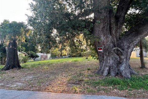 Land in Fort Meade, Florida № 1640856 - photo 2