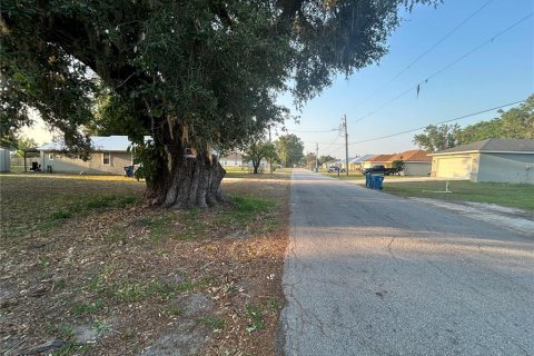 Land in Fort Meade, Florida № 1640856 - photo 4