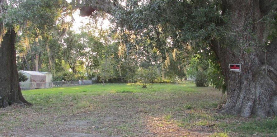 Land in Fort Meade, Florida № 1640856
