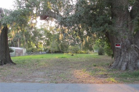 Land in Fort Meade, Florida № 1640856 - photo 9