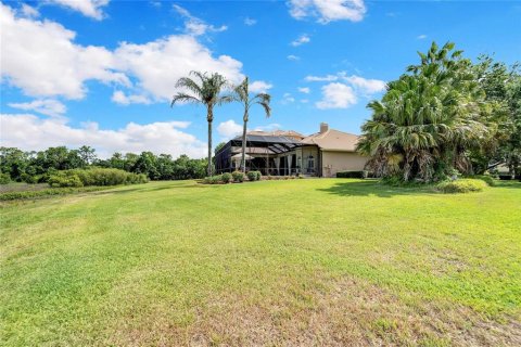 Villa ou maison à vendre à Fish Hawk, Floride: 4 chambres, 463.3 m2 № 2093760 - photo 5