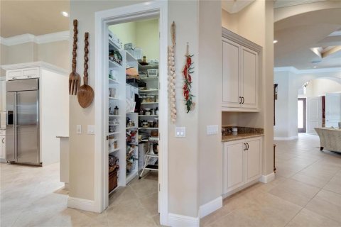 Villa ou maison à vendre à Fish Hawk, Floride: 4 chambres, 463.3 m2 № 2093760 - photo 29