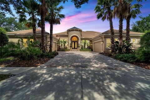 Villa ou maison à Fish Hawk, Floride 4 chambres, 463.3 m2 № 2093760
