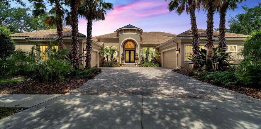Villa ou maison à Fish Hawk, Floride 4 chambres, 463.3 m2 № 2093760
