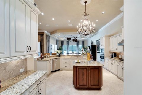 Villa ou maison à vendre à Fish Hawk, Floride: 4 chambres, 463.3 m2 № 2093760 - photo 25