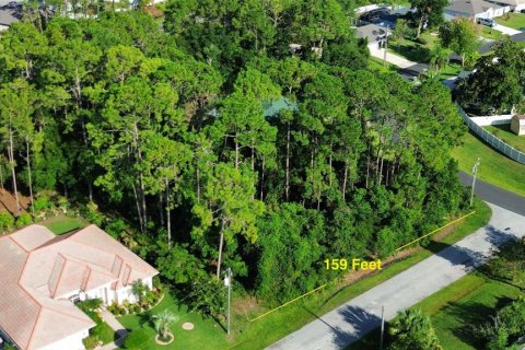 Land in Palm Coast, Florida № 1869093 - photo 4