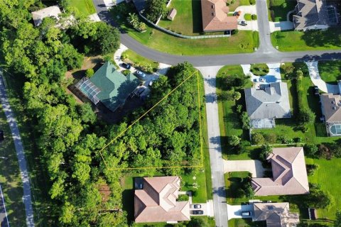 Land in Palm Coast, Florida № 1869093 - photo 3