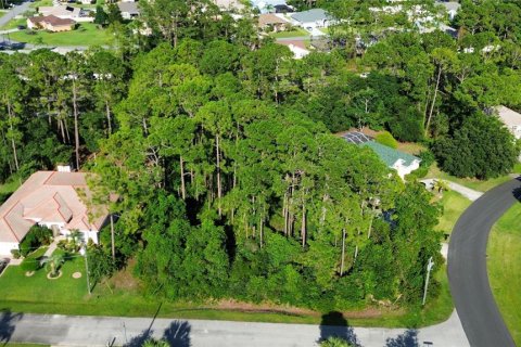 Land in Palm Coast, Florida № 1869093 - photo 2